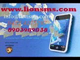 cheap bulk sms in coimbatore-bulk sms in coimbatore-lionsms