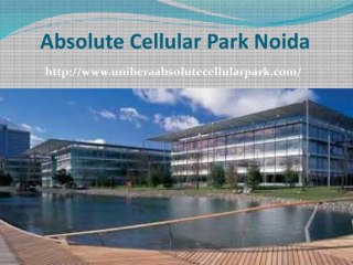 Unibera Absolute cellular Park @9250911411