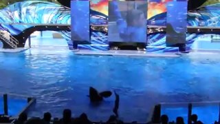 SeaWorld Orlando's _One Ocean_ Show - OPENING DAY (Full Show)