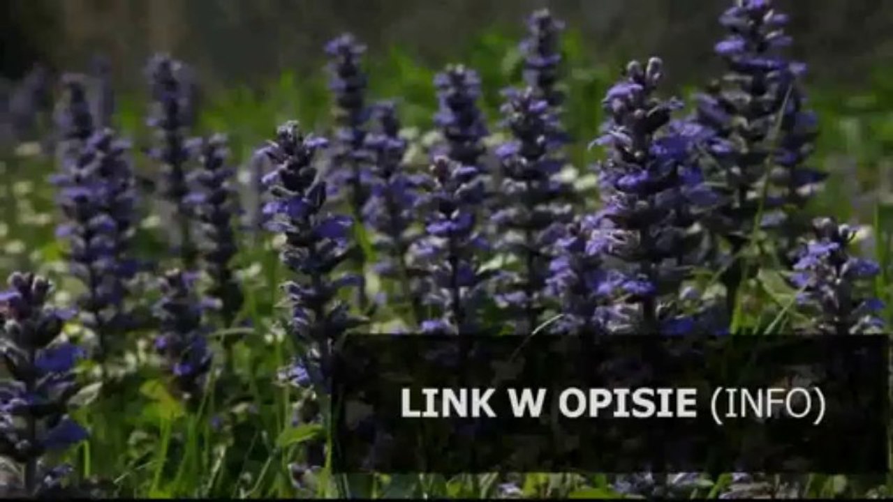 9000 vnr instrukcja pl