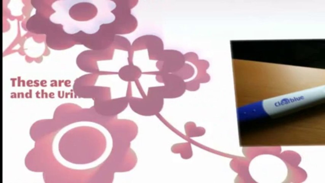 Positive Pregnancy Test Pictures