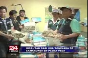 VMT: policía fiscal decomisa casi una tonelada de camarones en veda