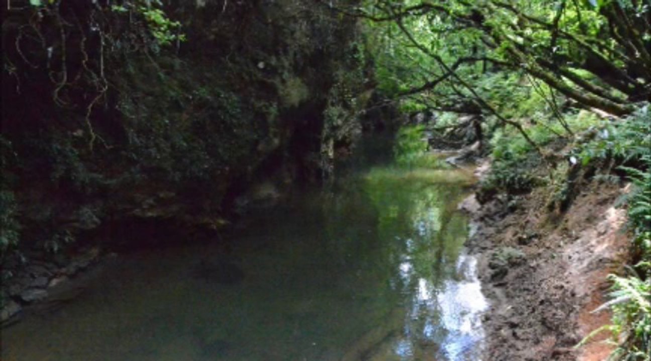 waitomo