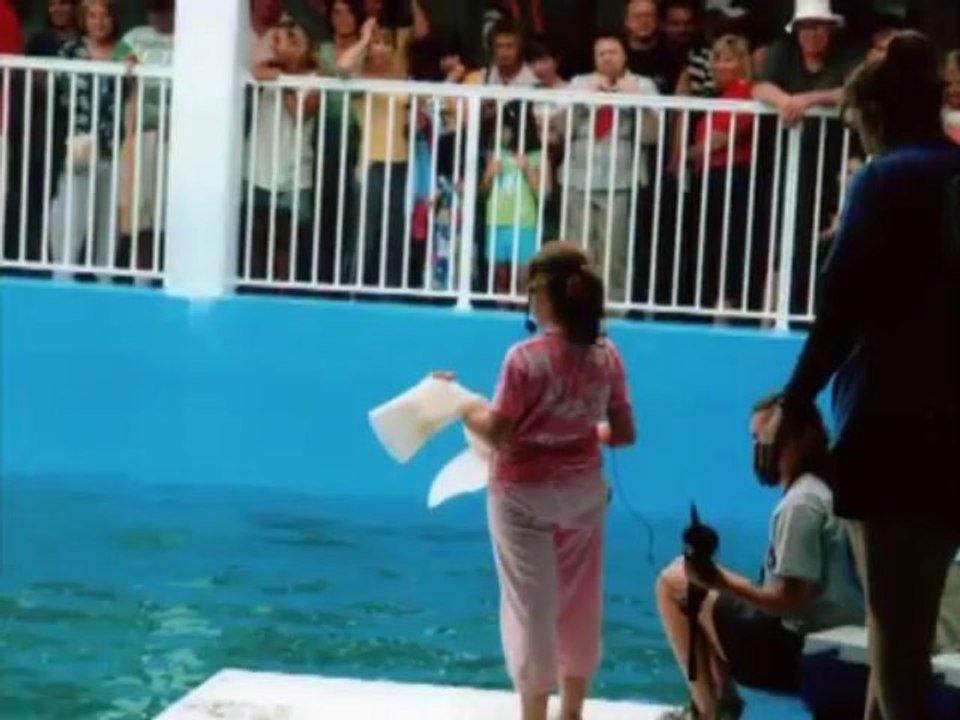 Winter_ The Dolphin That Could