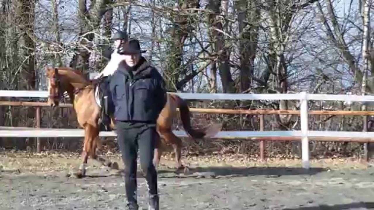 Riton et Klips , stage P.Limousin.