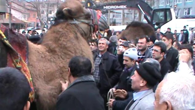 iskilip yağmur duası DEVE KESİMİ çekim bilal arıcı