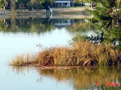 Discover Beautiful Emu Lakes, Perth City - Western Australia Holidays