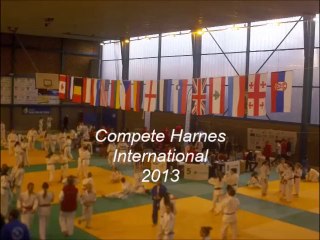 Harnes 2013 judo international