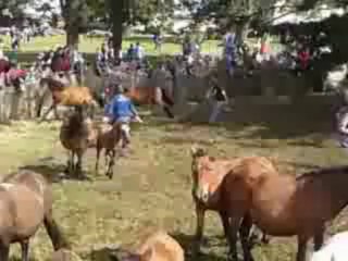 Curro de las Cañizadas 2º Parte