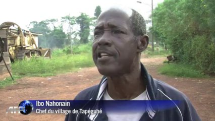 Lourde opération de survie pour des éléphants déplacés