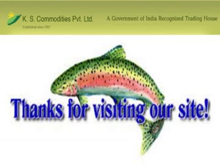 Rapeseed Meal Exporters