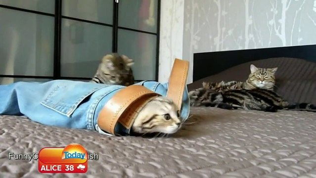 Hilarious Live TV Blooper Get Out Of My Pants