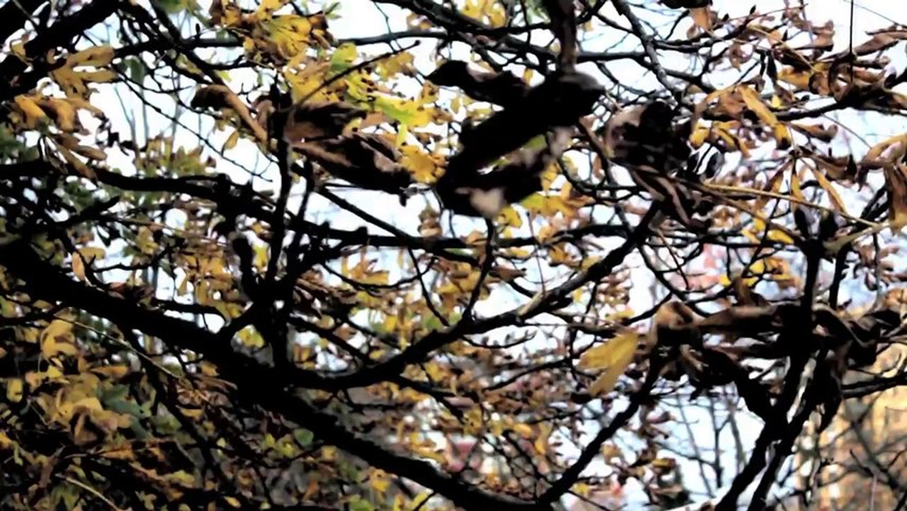 1Sturmherbst3 /Full Film/Ganzer Film/Complete Movie