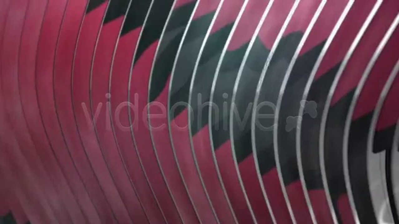 Logo Swap - After Effects Template