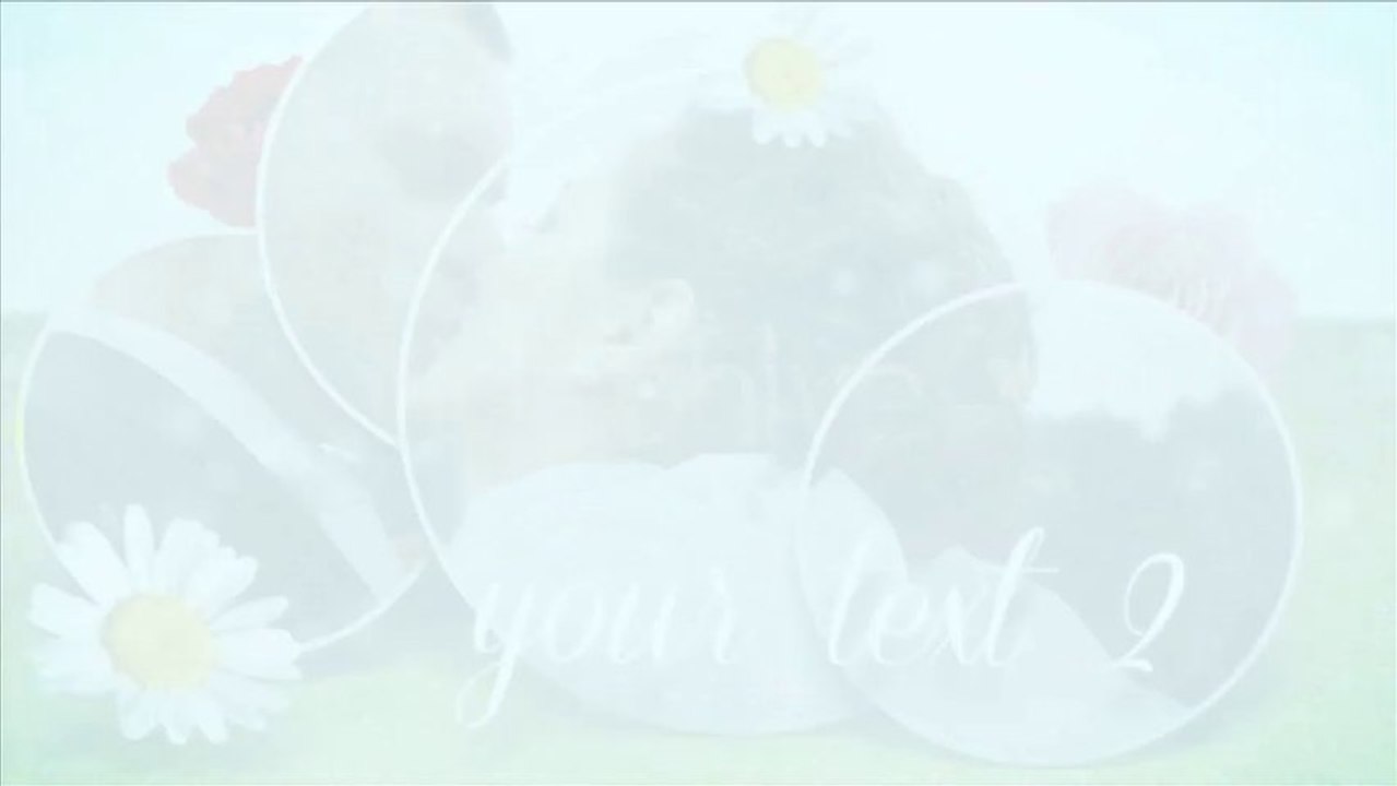Wedding Day - After Effects Template