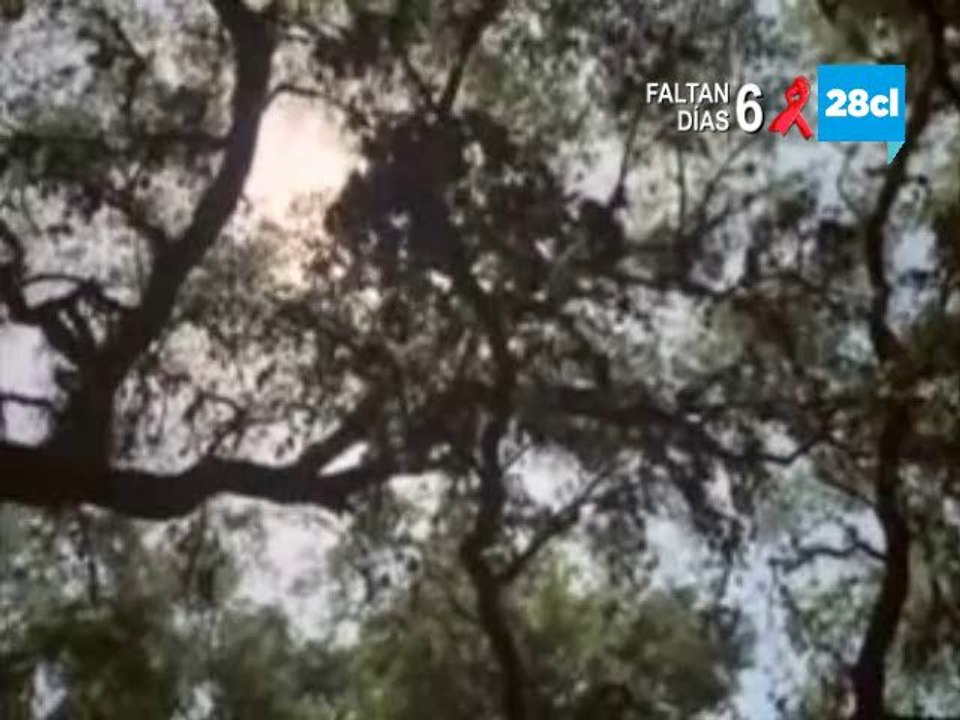 4ta Tanda 28cl (25/01/2014)