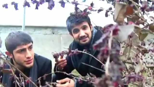 Altay Baran Can & Rap Kopat Attack - Kahramanmaras - (2014)