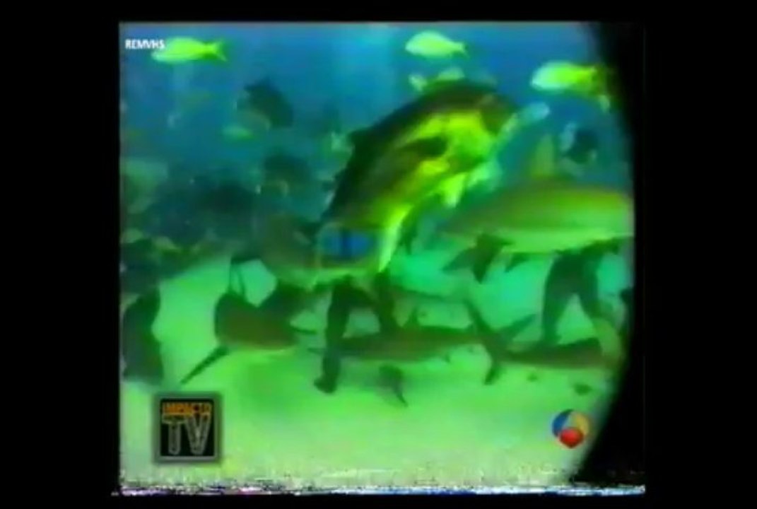IMPACTOTV97-4
