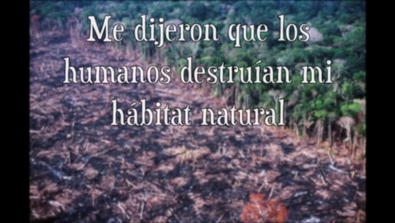 Un amor de Oso