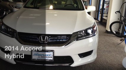 ACCORD HYBRID 2014 | 805-234-8440 | Sarena | SLO Honda #sunsethonda