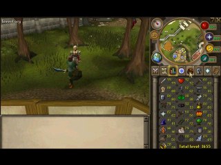 GameTag.com - Buy Sell Accounts - RuneScape Selling Account(Description)