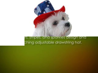 Anit Accessories Patriotic Dress Dog Costume