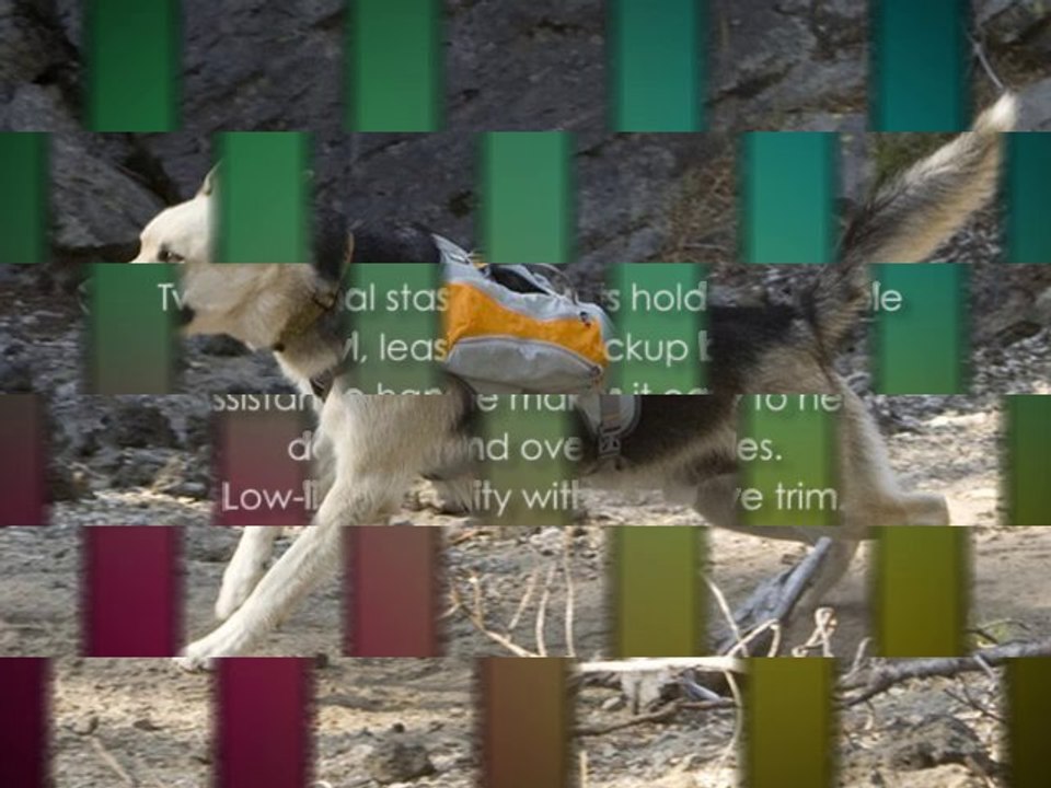 Ruffwear Singletrak Pack for Dogs