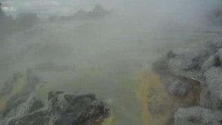 geyser rotorua
