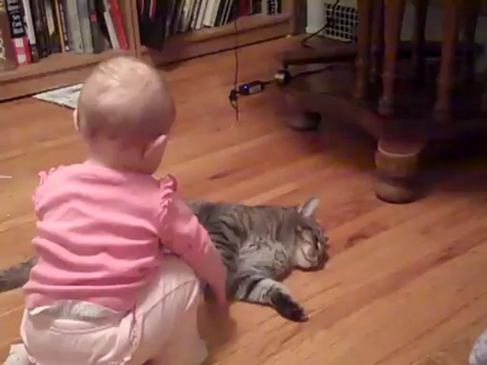 The most patient cat ever
