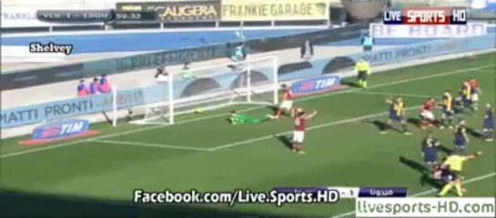 All Goals - Hellas Verona 1-3 AS Roma 26.01.14