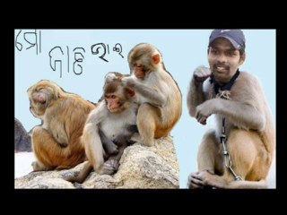 orissa cricket ranji cricketer natraj behera orissa sports (2)