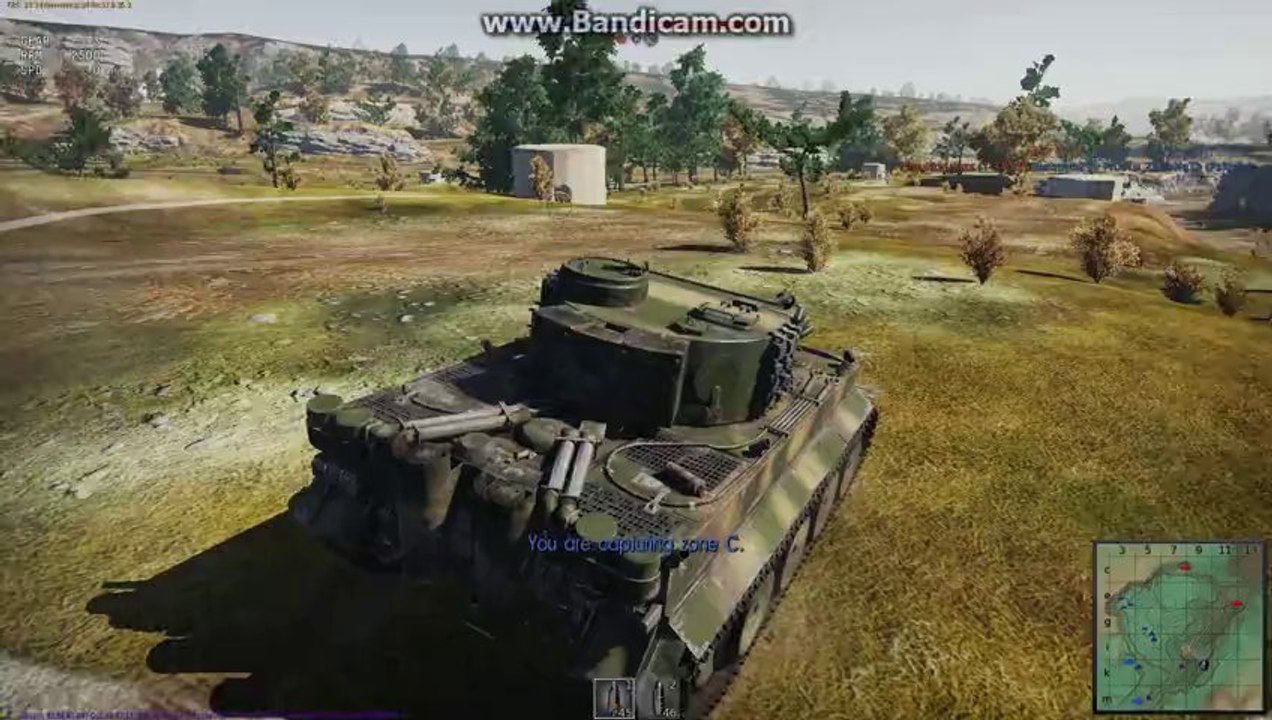 Tiger in action