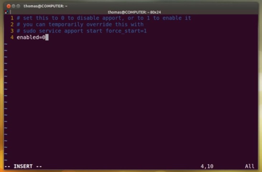 Ubuntu au rapport