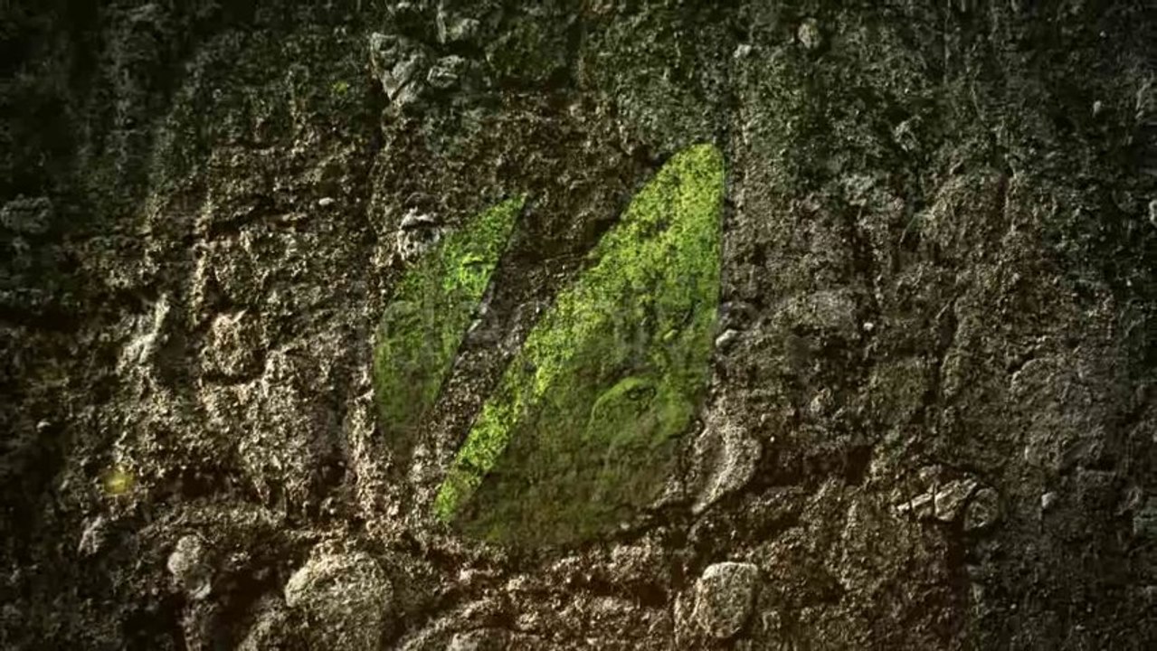 Mystic Jungle Reveal - After Effects Template