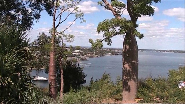 Kings Park and Botanic Gardens. Beautiful Perth City Views - Western Australia Holidays