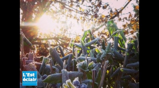 Les gagnants du concours #lumieresdhiver récompensés