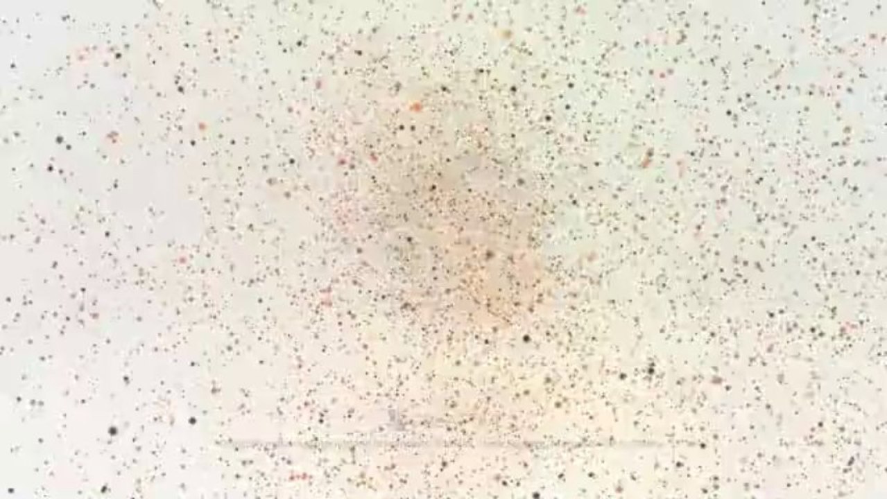 Floating Particles - After Effects Template