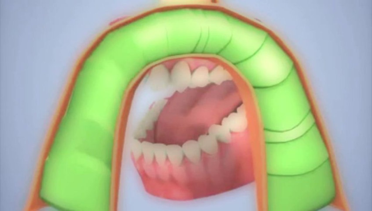 La couronne (pour portable) 1