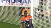 But M Baye NIANG (31ème) - Montpellier Hérault SC - OGC Nice - (3-1) - 25/01/14 - (MHSC-OGCN)