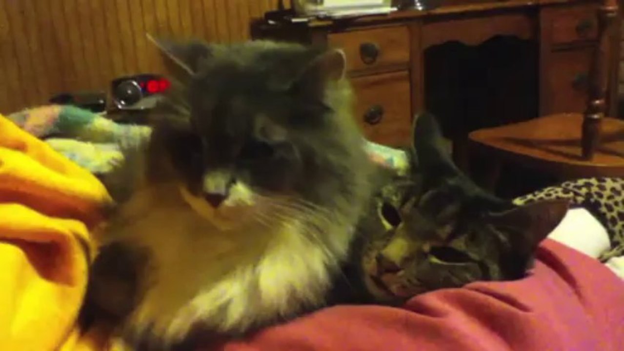 Mick sitting on Jessee