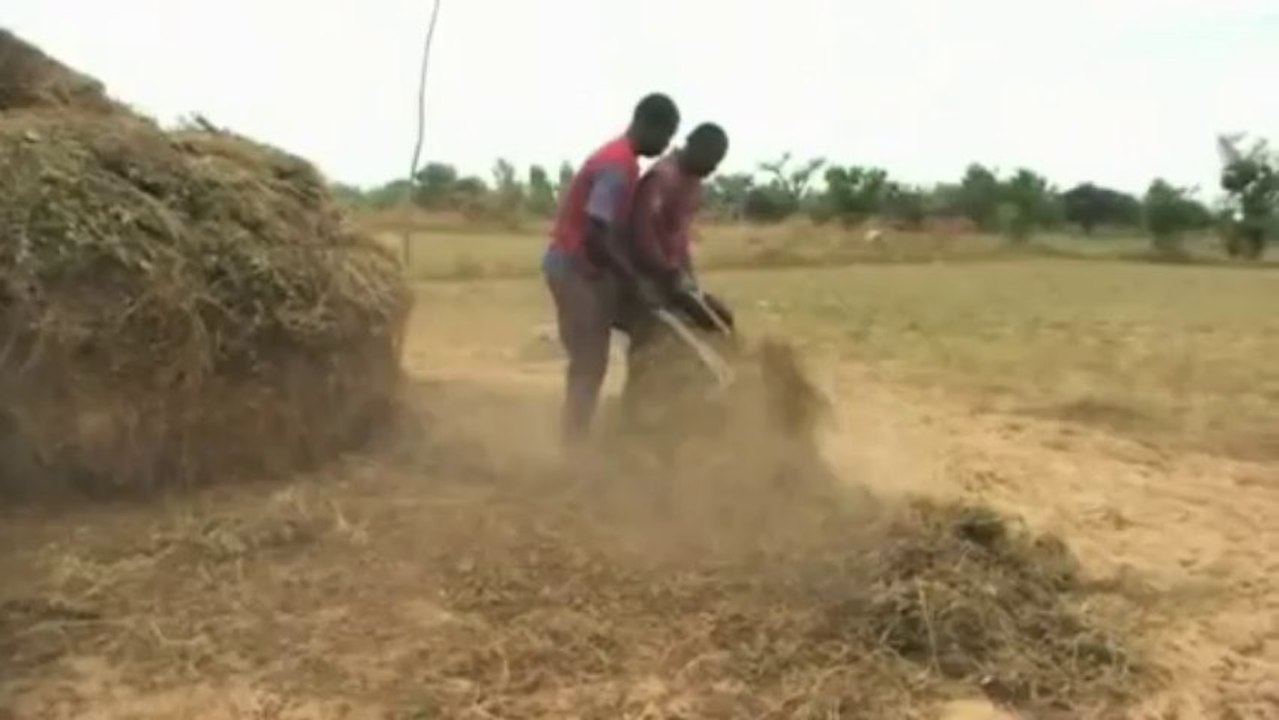 sénégal