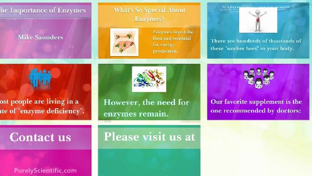 Digestive Enzymes: The Importance of Enzymes