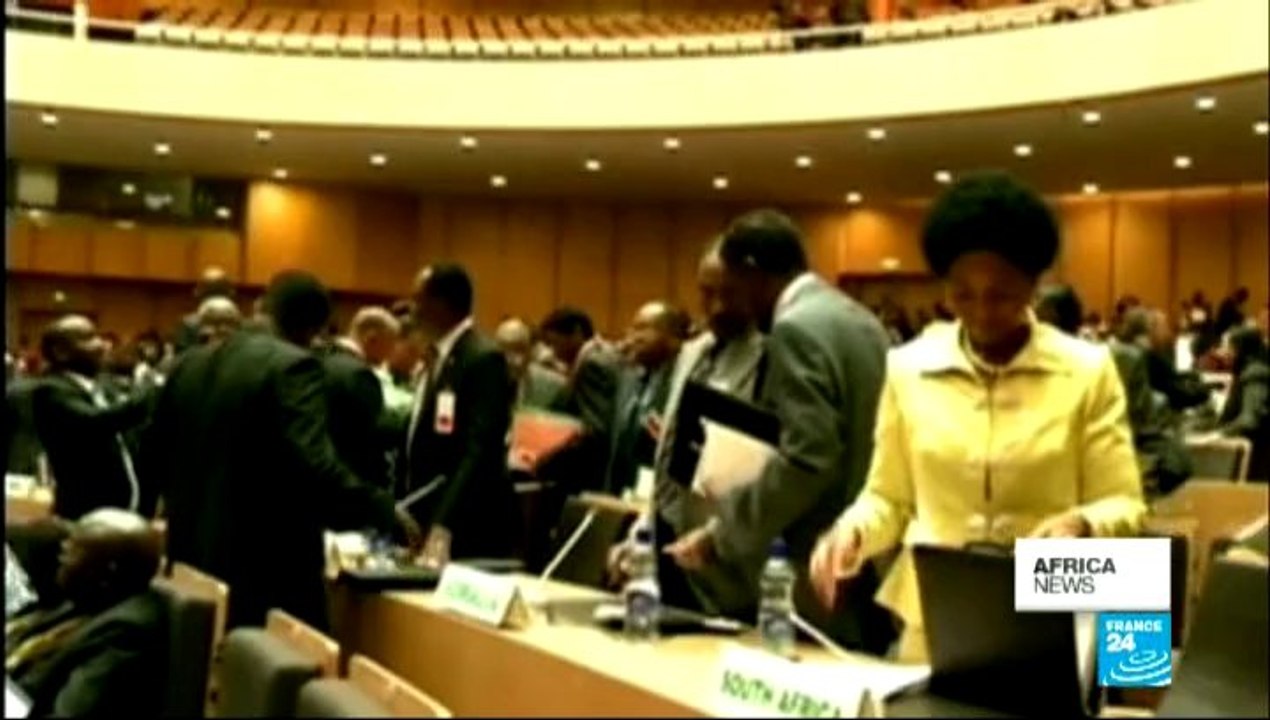 Africa News - South African opposition fields new presidential candidate