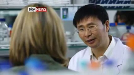 İnekten İnsan Sütü Elde Edildi İddiası