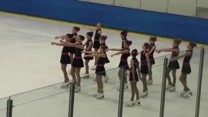 Midwest Region Sectionals Qualifying Round CEFSC Preliminary IceStars 6th place - Jan 2014