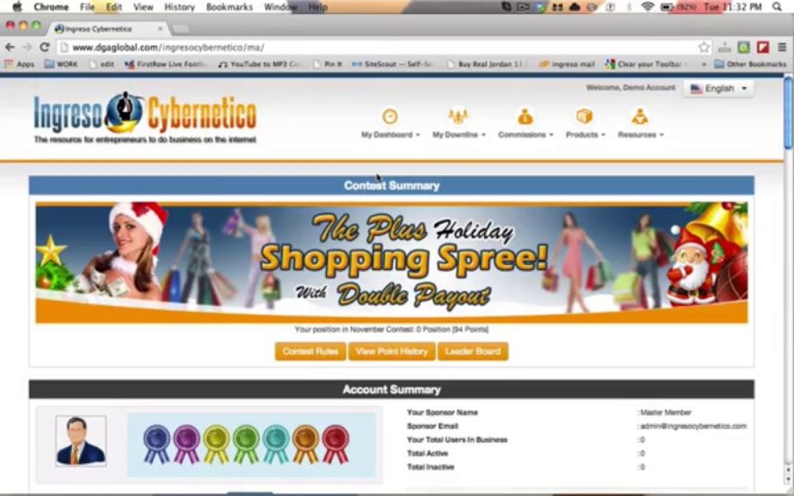 Inside The Dashboard Of  Ingreso Cybernetico - Money Making Site