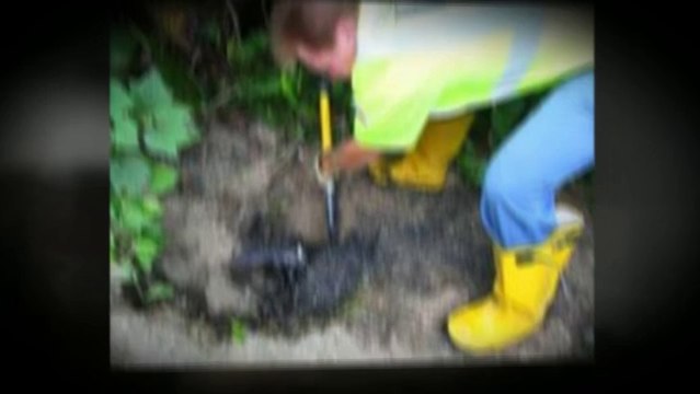 Cesspool service Stony Brook