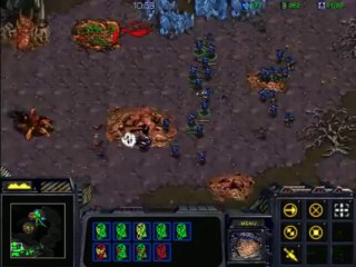 StarCraft 1 - Husky Plays - Part 2