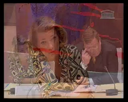 Audition de Mme Anne LEVADE, professeure à l’université de Paris XII (Val-de-Marne), membre du Comité de réflexion et de proposition sur la modernisation et le rééquilibrage des institutions de la Vème République - Lundi 5 Mai 2008