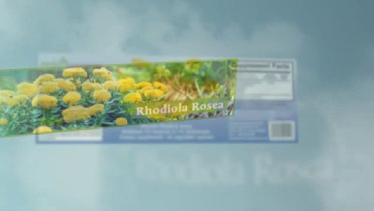 Rhodiola